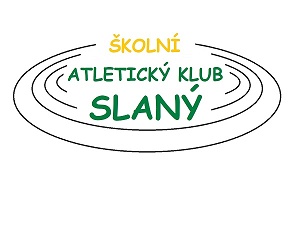 LOGO SAK - colour 2 (300x225)